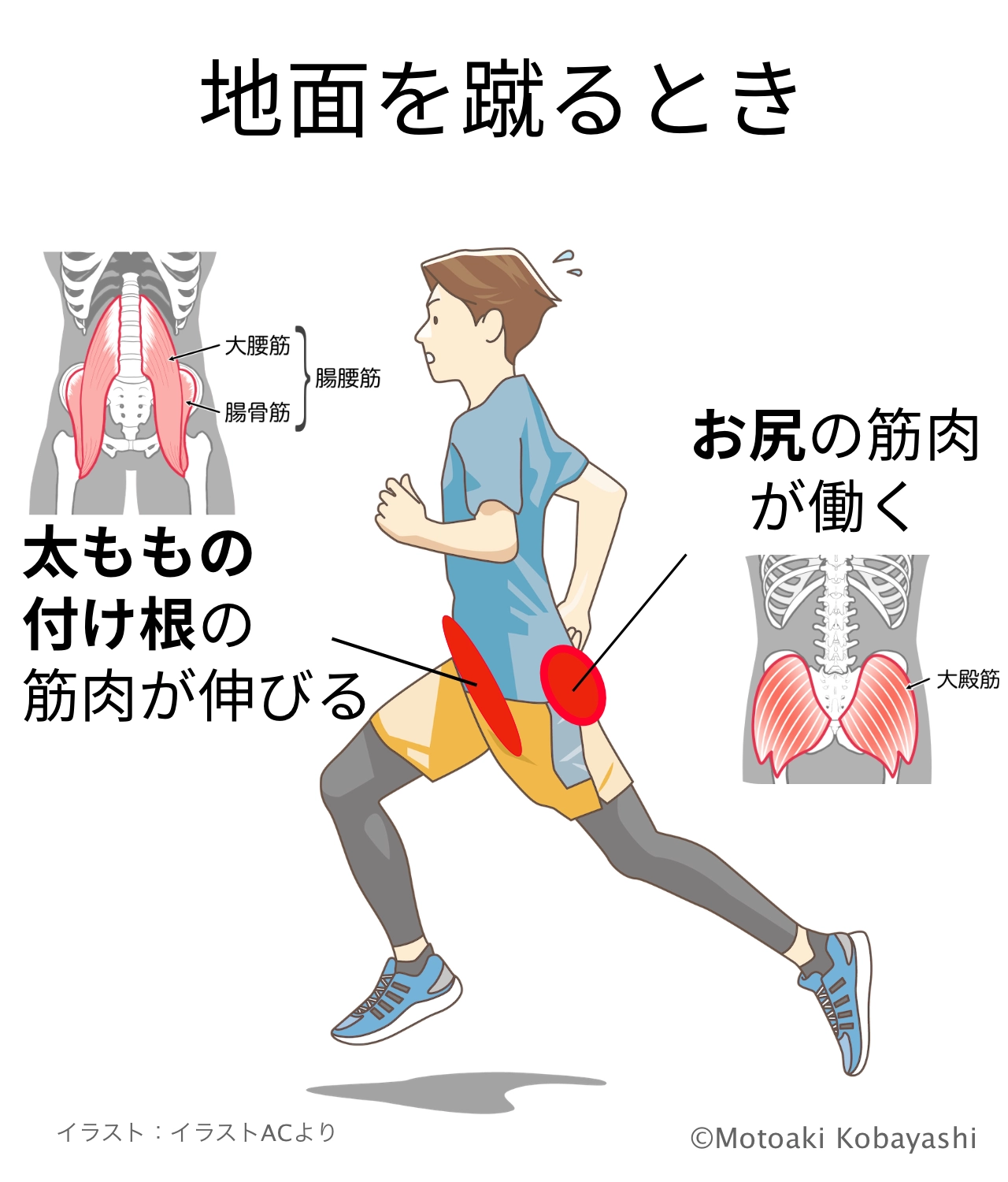 腸腰筋ー大臀筋連動　ランニング